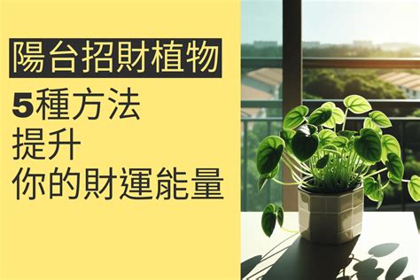 陽台植物招財|5種陽台招財植物提升你的財運能量